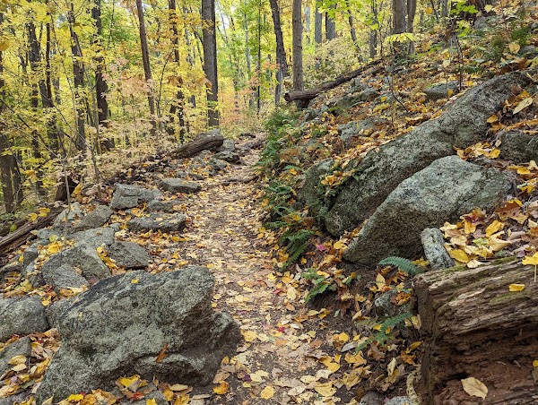 Old Rag Circuit Hike 4