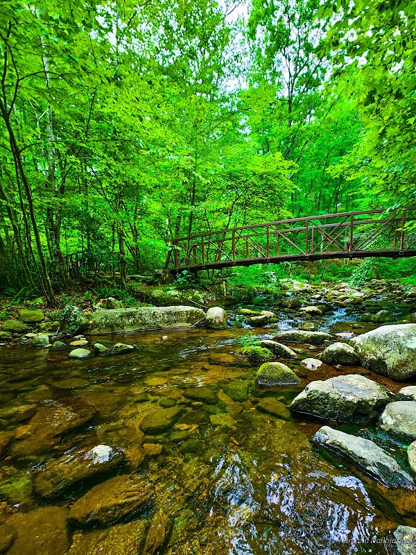 Old Rag Circuit Hike 2