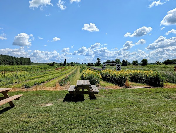 Brantwood Farms 2