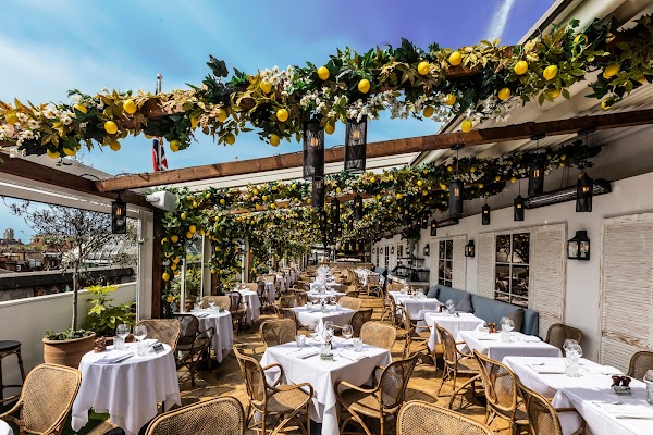 Alto by San Carlo - London