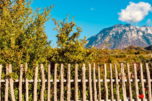 Alpeta Agritourism & Winery - Roshnik