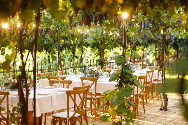 Alpeta Agritourism & Winery - Roshnik 4
