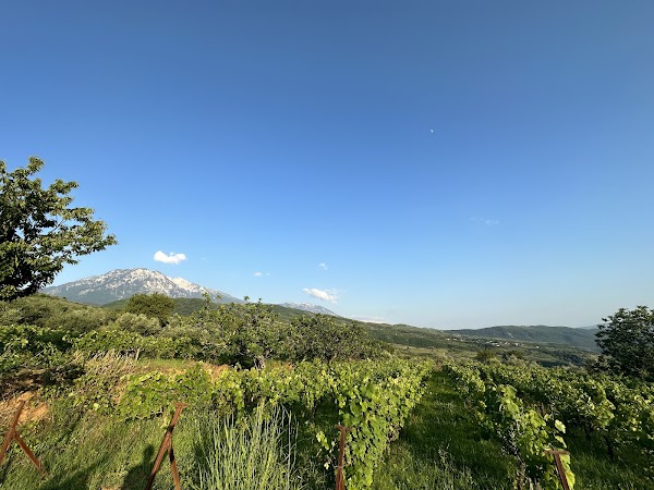 Alpeta Agritourism & Winery - Roshnik 2