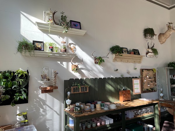 Aesthetic Bay Area Cafes