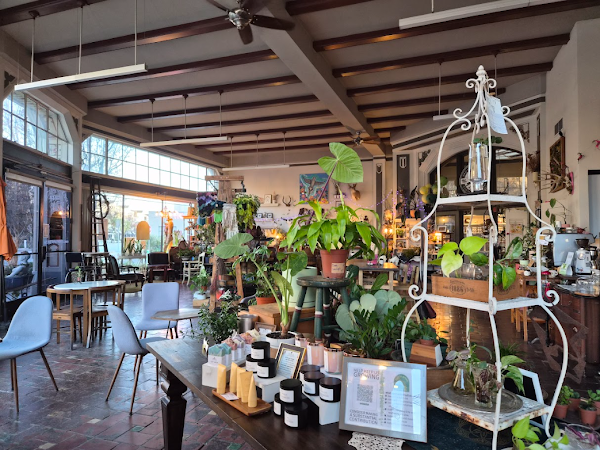 Little Green A Plant Bar 3