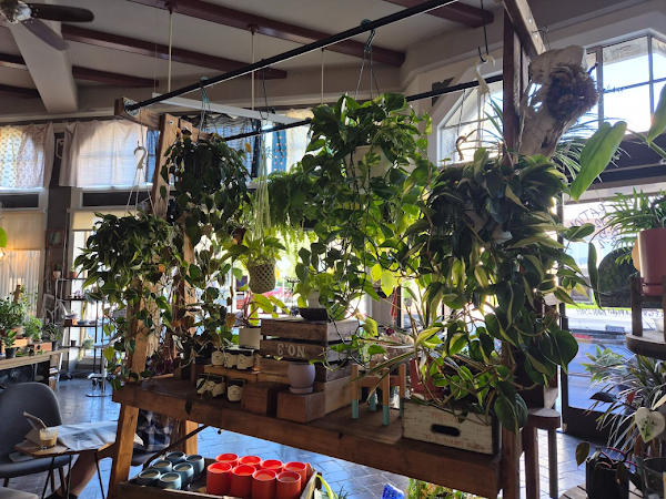 Little Green A Plant Bar 2