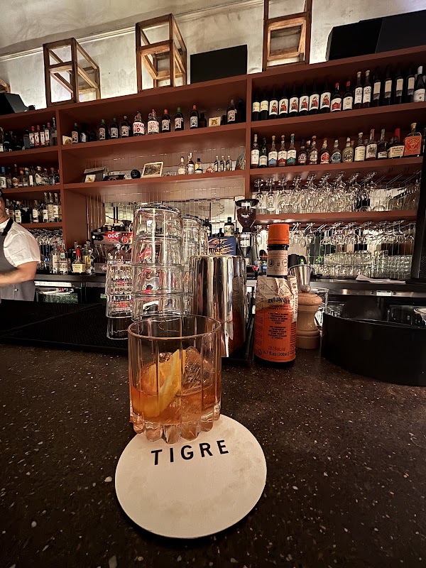 El Tigre Silencioso 4