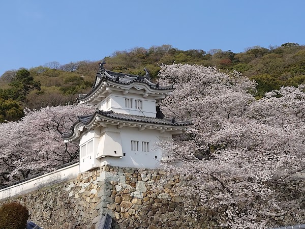 Tatsuno Castle