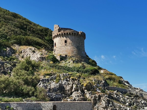 Torre Paola 4