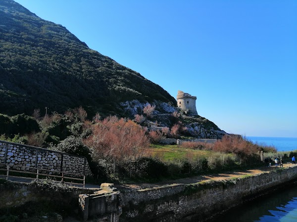 Torre Paola 3