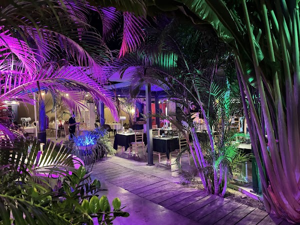 Palapa Hidden Oasis SXM 3