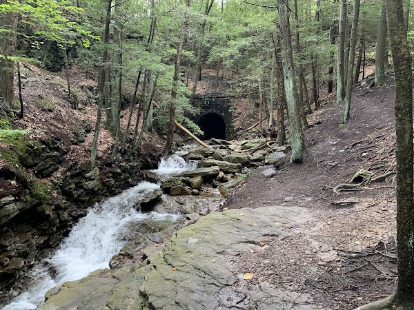 Seven Tubs Recreation Area - Pinchot Forest District 4