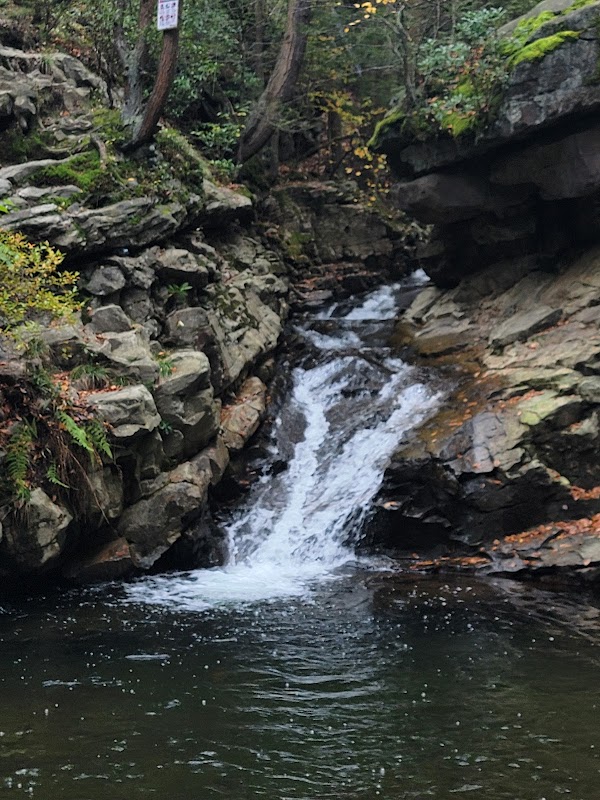 Seven Tubs Recreation Area - Pinchot Forest District 3