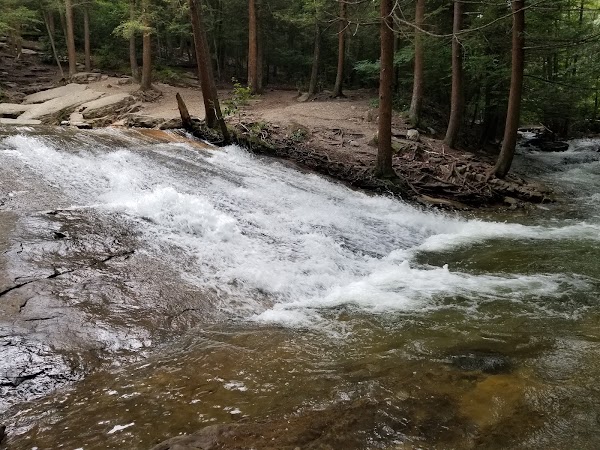 Seven Tubs Recreation Area - Pinchot Forest District 2