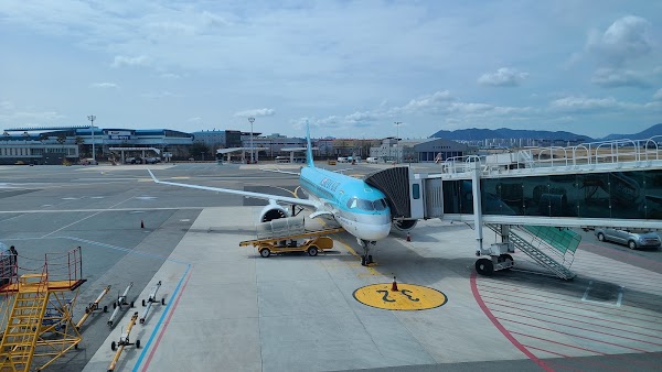 Incheon International Airport Arrivals (T1) 3