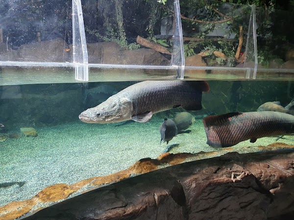 SEALIFE Busan Aquarium 5