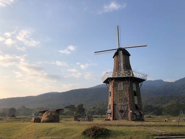 Huay Tueng Thao Sheep Farm