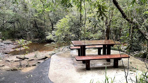 Goomoolahra Picnic Area 1