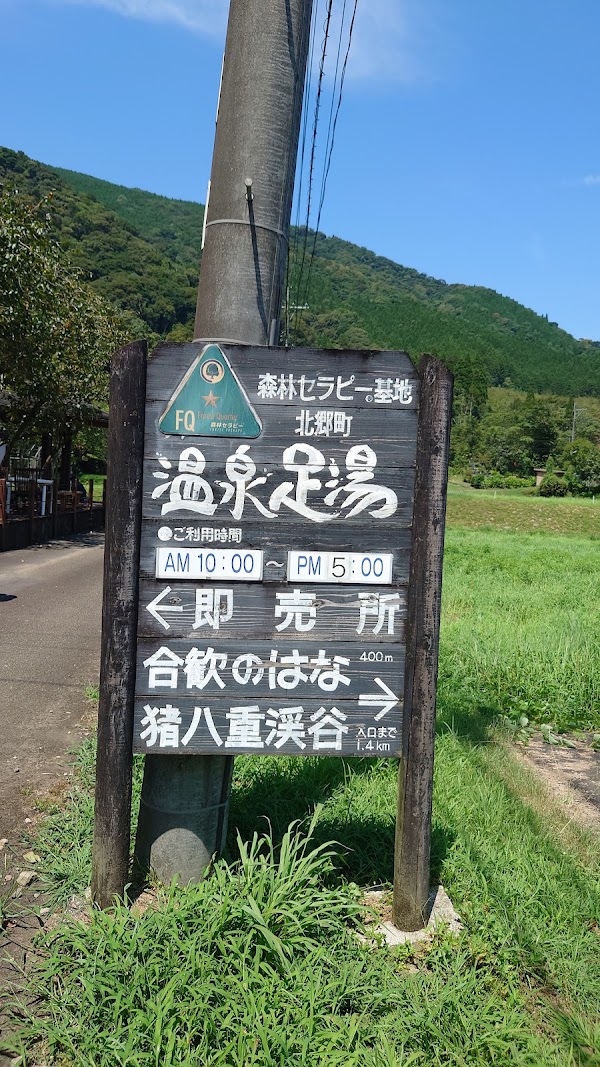 猪八重温泉足湯 1