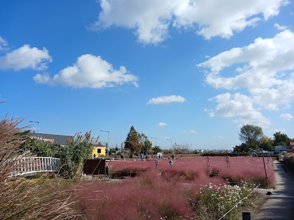 Baramsae Village Picnic Garden
