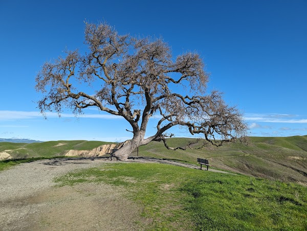 Del Valle Regional Park 3