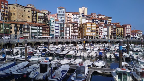 Bermeo 5