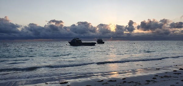 Lancelin 4