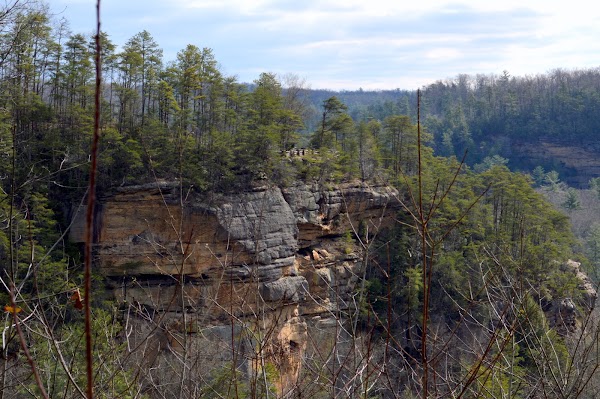 Red River Gorge Geological Area 5