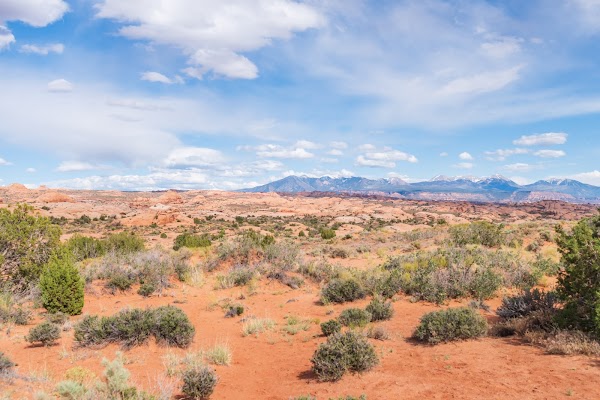 Petrified Dunes Viewpoint