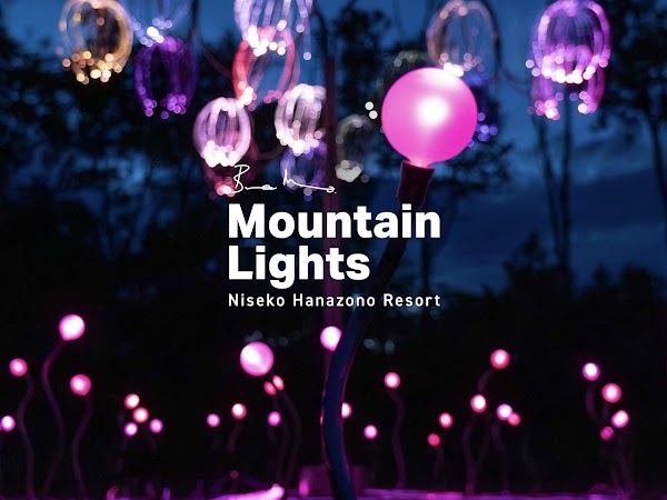 Mountain Lights