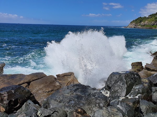 Sea Cliff Bridge 4