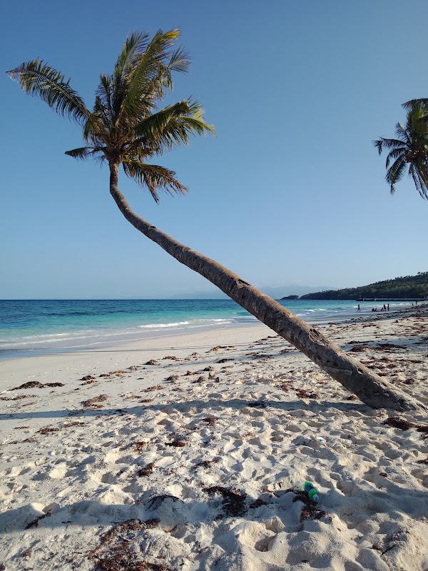 Carabao Island 5