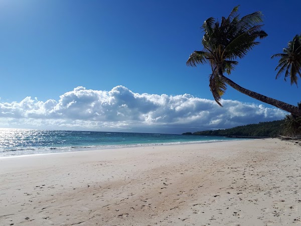 Carabao Island 3