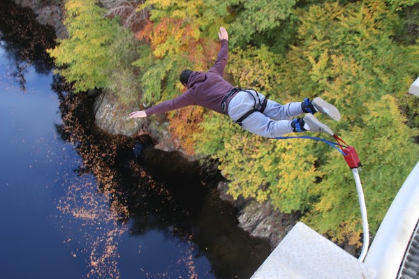 Highland Fling Bungee