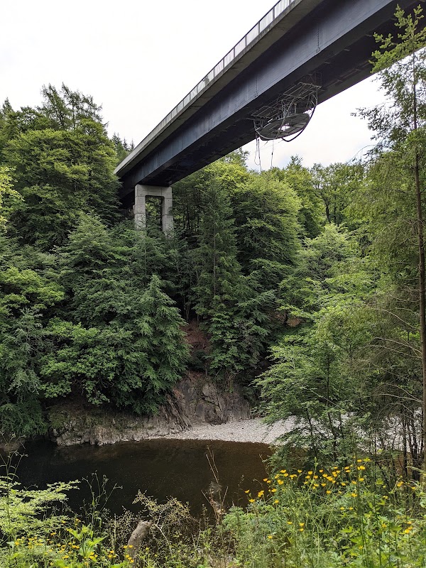 Highland Fling Bungee 4