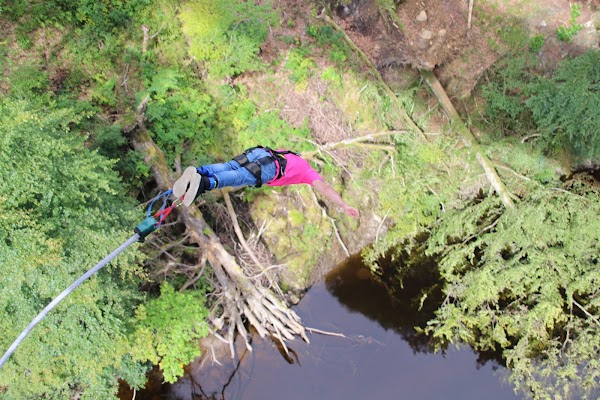 Highland Fling Bungee 3
