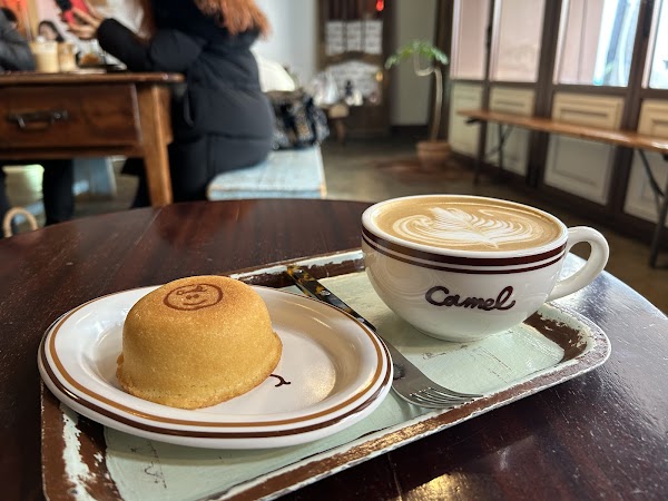 Camel Coffee Dosan 5