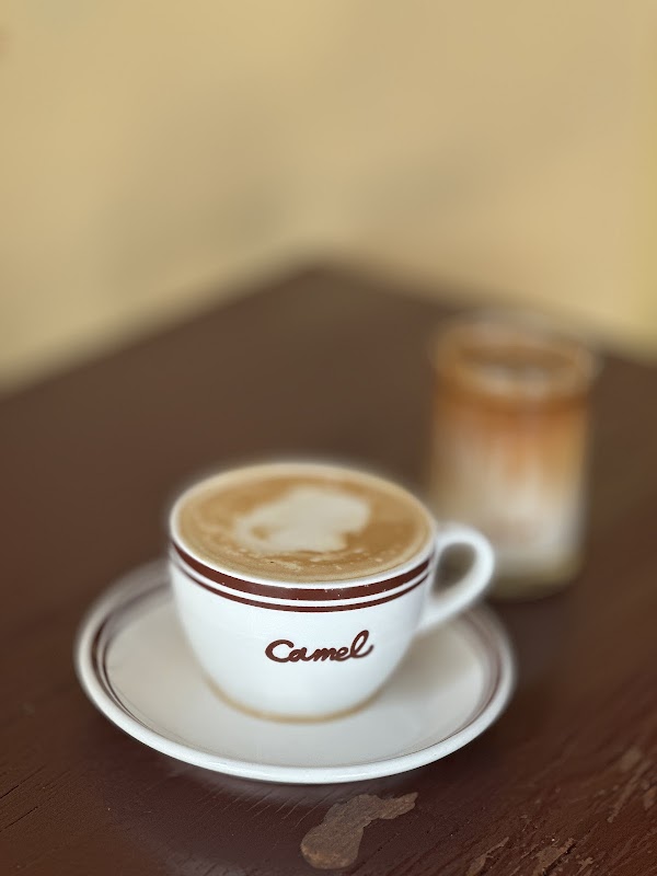 Camel Coffee Dosan 3