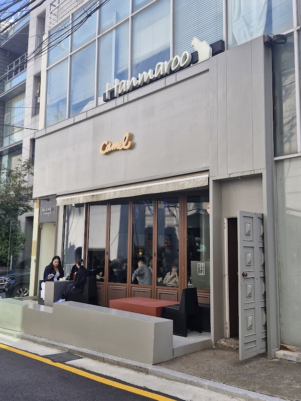 Camel Coffee Dosan 2