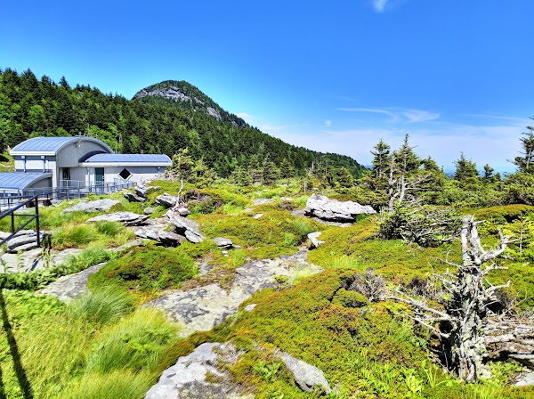 Grandfather Mountain 3