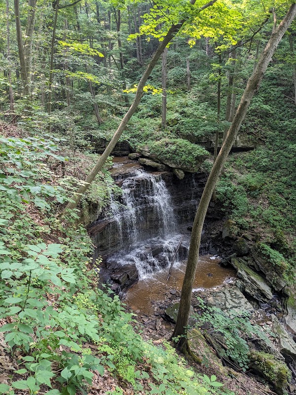 Louth Falls