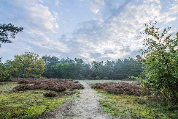 Kesselse Heide