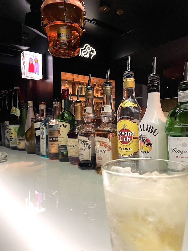 Music Bar Lion 4