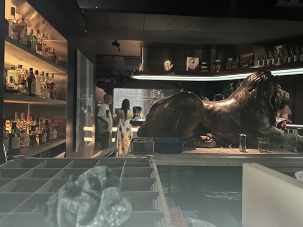 Music Bar Lion 3