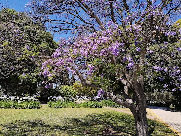 Garden Vasco da Gama