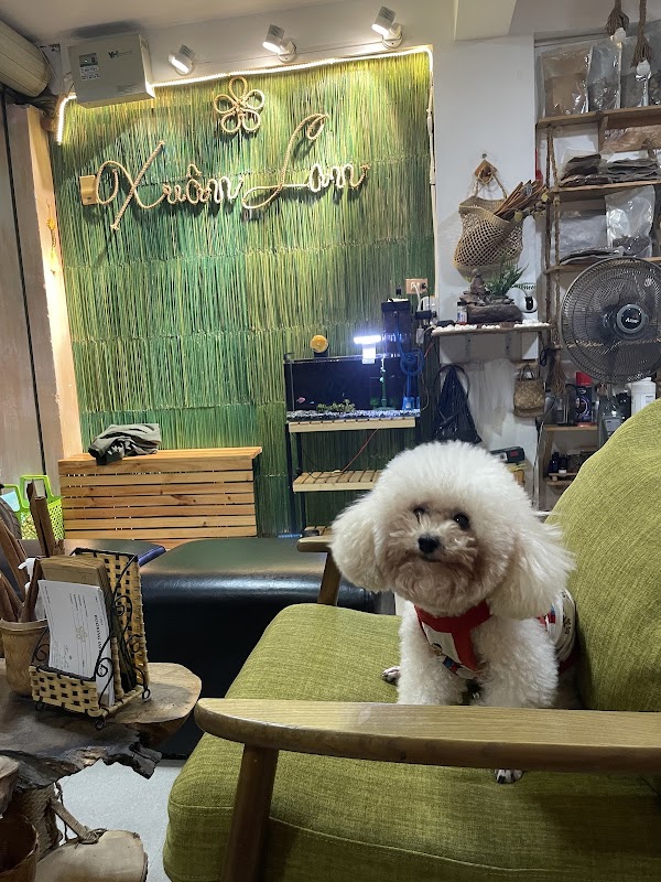 Spa & Hair Salon Xuan Lan 3