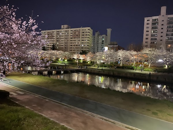 Oncheoncheon Cafe Street 4