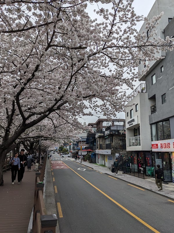 Oncheoncheon Cafe Street 3