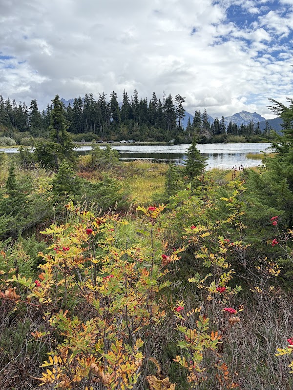 Picture Lake 3