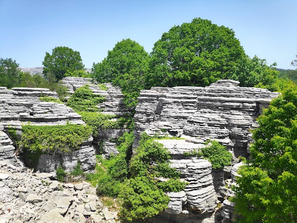 Stone Forest 1
